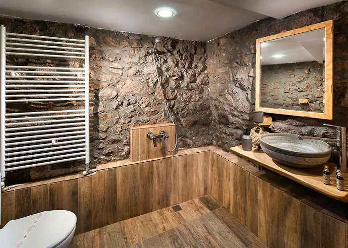 Toplika Country house *